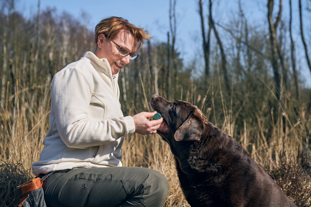 Eine Frau und ein Hund auf einer Wiese. Schnüffelmeister ist ein vorgefertigtes Kurskonzept zur Nasenarbeit mit Schwerpunkt "Geruchsidentifikation" für deine Hundeschule.