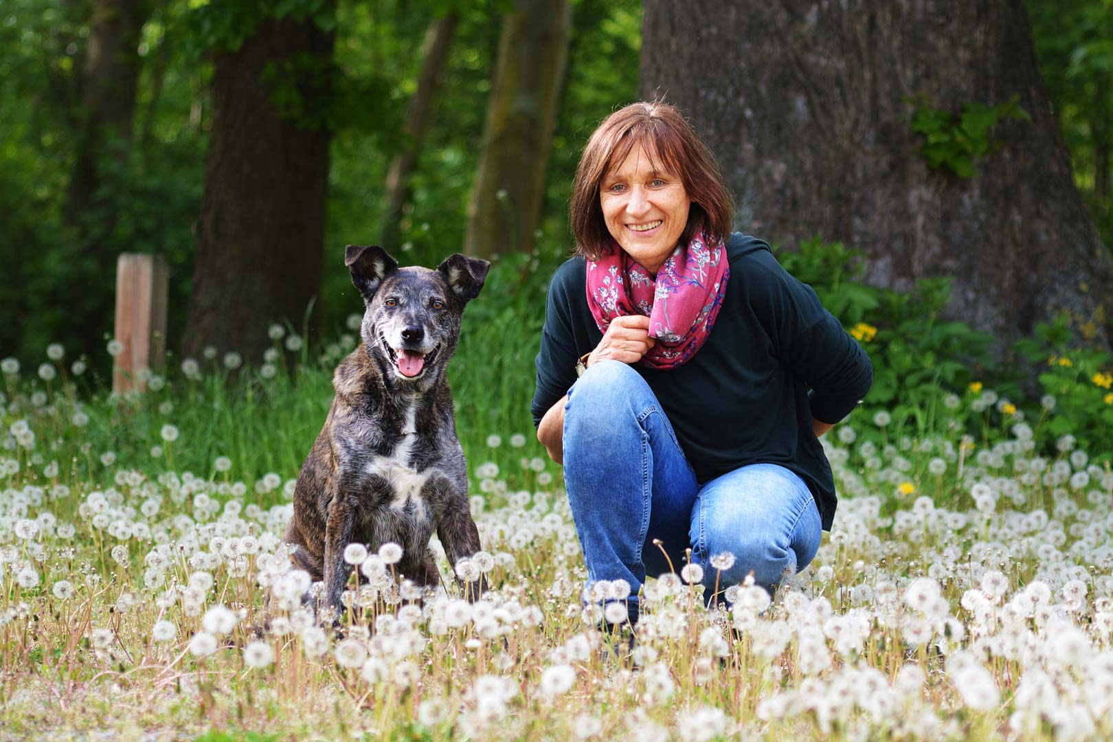 Viola Heuter Hundetraining